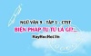 Biện pháp tu từ chơi chữ là gì? Điệp thanh, điệp vần là gì? đặc điểm và tác dụng Ngữ văn lớp 9